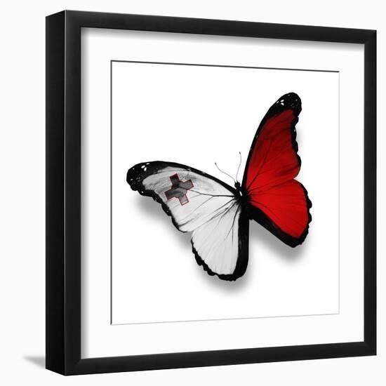 Maltese Flag Butterfly, Isolated On White-suns_luck-Framed Art Print