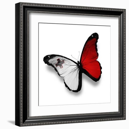 Maltese Flag Butterfly, Isolated On White-suns_luck-Framed Art Print