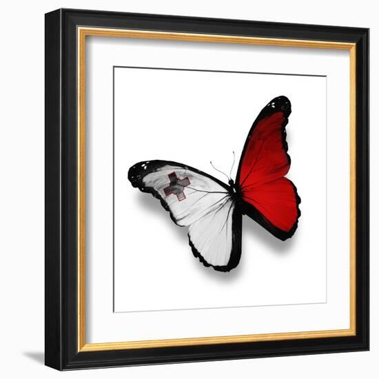 Maltese Flag Butterfly, Isolated On White-suns_luck-Framed Art Print