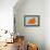 Maltese Orange-NaxArt-Framed Stretched Canvas displayed on a wall