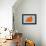 Maltese Orange-NaxArt-Framed Stretched Canvas displayed on a wall