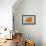 Maltese Orange-NaxArt-Framed Stretched Canvas displayed on a wall