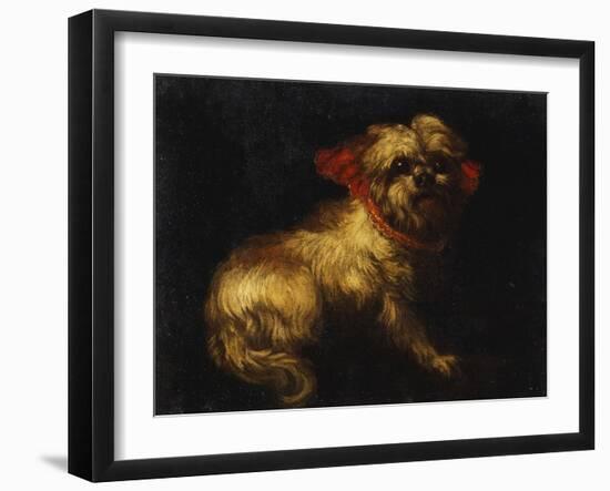 Maltese Terrier with a Red Collar-School of Madrid-Framed Giclee Print