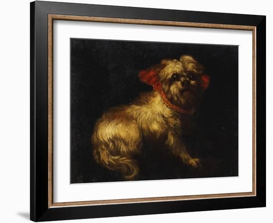 Maltese Terrier with a Red Collar-School of Madrid-Framed Giclee Print