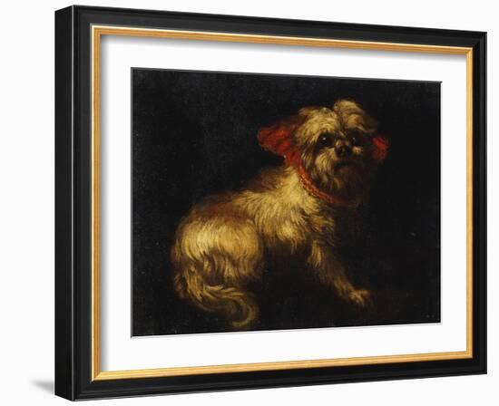 Maltese Terrier with a Red Collar-School of Madrid-Framed Giclee Print