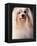 Maltese with Hair Plaited-Adriano Bacchella-Framed Premier Image Canvas