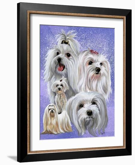 Maltese-Barbara Keith-Framed Giclee Print