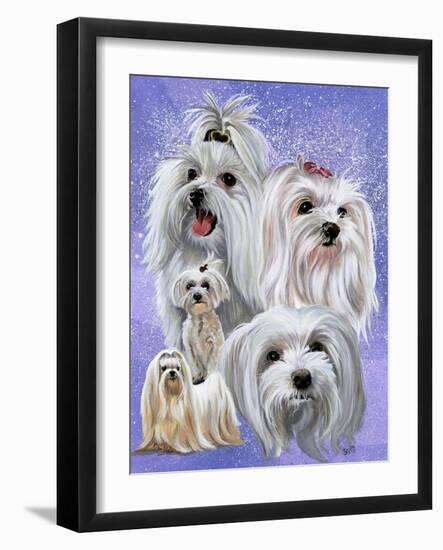 Maltese-Barbara Keith-Framed Giclee Print