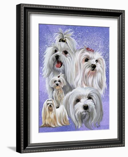 Maltese-Barbara Keith-Framed Giclee Print