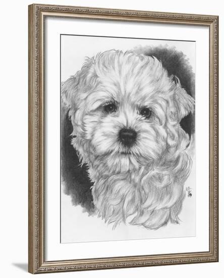 Maltichon-Barbara Keith-Framed Giclee Print