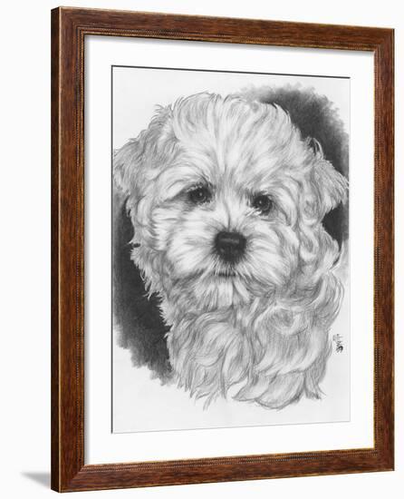 Maltichon-Barbara Keith-Framed Giclee Print