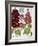 Malva Hortensis-null-Framed Giclee Print