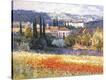 Stretched Canvas Print