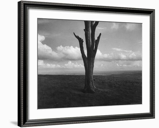 Malvern Hills, Where Robert Frost Once Lived-Howard Sochurek-Framed Photographic Print