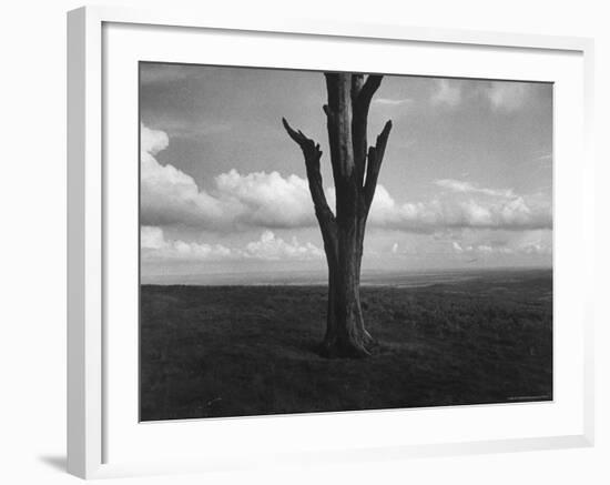 Malvern Hills, Where Robert Frost Once Lived-Howard Sochurek-Framed Photographic Print