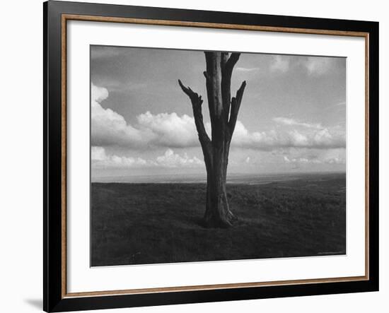 Malvern Hills, Where Robert Frost Once Lived-Howard Sochurek-Framed Photographic Print