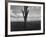 Malvern Hills, Where Robert Frost Once Lived-Howard Sochurek-Framed Photographic Print