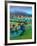 Malvern-Paul Powis-Framed Giclee Print