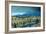 Malverns-Paul Powis-Framed Giclee Print