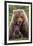 Mama Bear (Brown Bear and Cub)-Art Wolfe-Framed Giclee Print