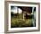 Mama-Stephen Arens-Framed Photographic Print