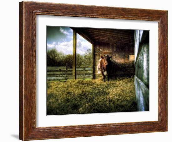 Mama-Stephen Arens-Framed Photographic Print