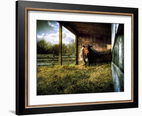 Mama-Stephen Arens-Framed Photographic Print