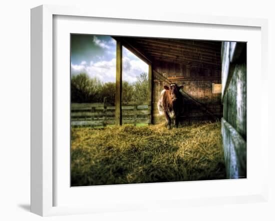 Mama-Stephen Arens-Framed Photographic Print