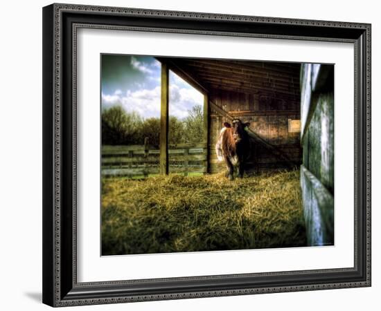 Mama-Stephen Arens-Framed Photographic Print