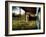 Mama-Stephen Arens-Framed Photographic Print