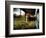 Mama-Stephen Arens-Framed Photographic Print