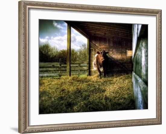 Mama-Stephen Arens-Framed Photographic Print