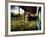 Mama-Stephen Arens-Framed Photographic Print