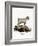 Mamber Goat-null-Framed Giclee Print