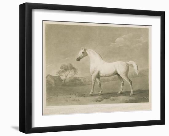 Mambrino, after George Stubbs, 1788-Charles Howard Hodges-Framed Giclee Print