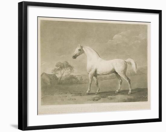 Mambrino, after George Stubbs, 1788-Charles Howard Hodges-Framed Giclee Print