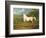 "Mambrino", C.1790-George Stubbs-Framed Giclee Print