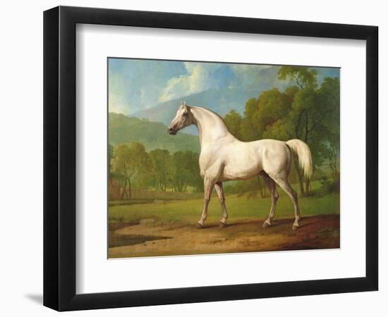 "Mambrino", C.1790-George Stubbs-Framed Giclee Print