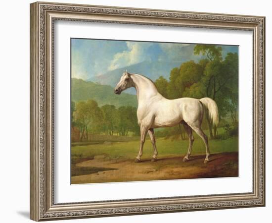 "Mambrino", C.1790-George Stubbs-Framed Giclee Print