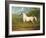 "Mambrino", C.1790-George Stubbs-Framed Giclee Print