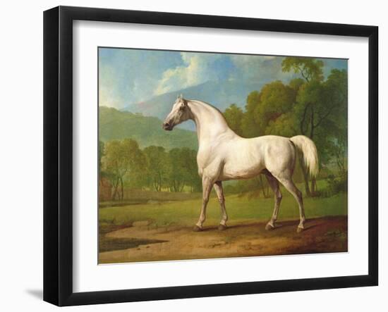 "Mambrino", C.1790-George Stubbs-Framed Giclee Print