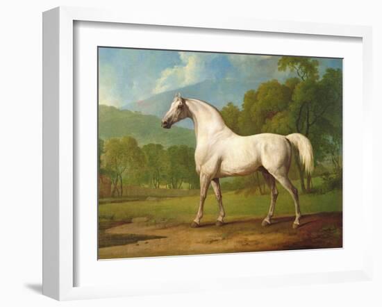 "Mambrino", C.1790-George Stubbs-Framed Giclee Print