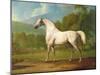 "Mambrino", C.1790-George Stubbs-Mounted Giclee Print