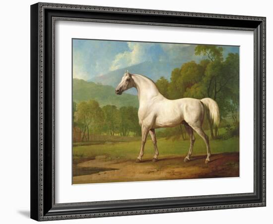 "Mambrino", C.1790-George Stubbs-Framed Giclee Print