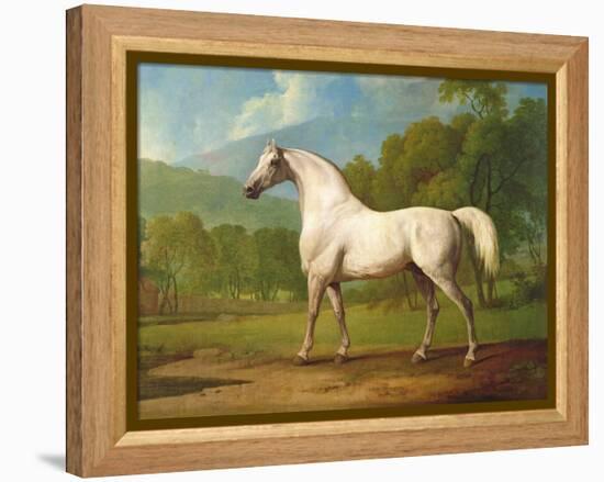 "Mambrino", C.1790-George Stubbs-Framed Premier Image Canvas