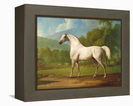 "Mambrino", C.1790-George Stubbs-Framed Premier Image Canvas