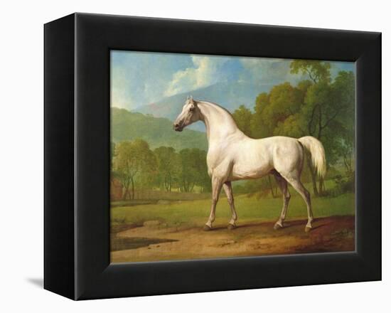 "Mambrino", C.1790-George Stubbs-Framed Premier Image Canvas