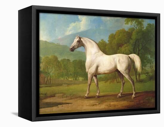 "Mambrino", C.1790-George Stubbs-Framed Premier Image Canvas