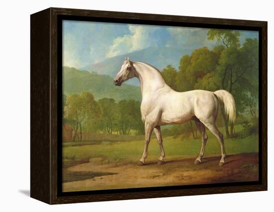 "Mambrino", C.1790-George Stubbs-Framed Premier Image Canvas