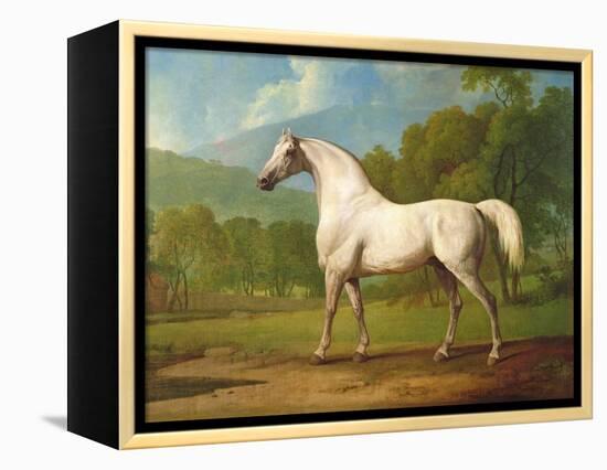 "Mambrino", C.1790-George Stubbs-Framed Premier Image Canvas